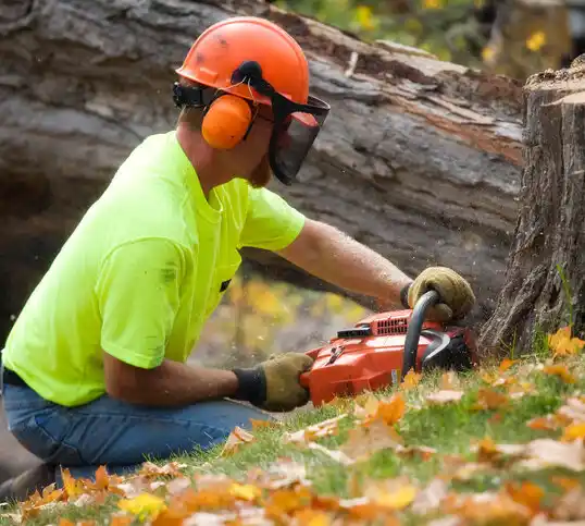 tree services Hankinson